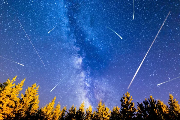 Sabit yıldız çam ağaçları Samanyolu — Stok fotoğraf