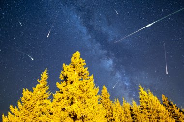 Falling stars pine trees Milky Way clipart