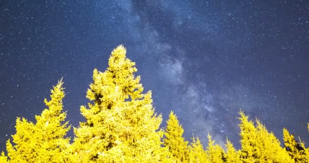 Estrellas cayendo pinos Vía Láctea 4k — Vídeo de stock