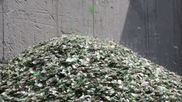 Glass waste in recycling facility. Pile of bottles — Stock Video