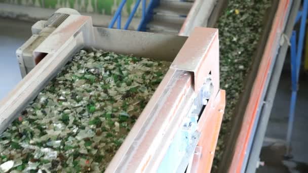 Glas afval in de recycling van de faciliteit. Glas deeltjes in een machine. Lijn — Stockvideo