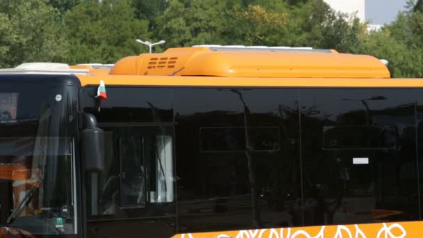 Openbaar vervoer nieuwe bussen Zoom — Stockvideo