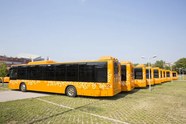 Transporte público nuevos autobuses respaldos — Foto de Stock