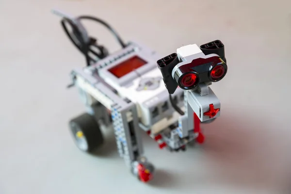 Mainan robot dari blok plastik anjing — Stok Foto