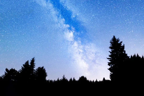 Silueta de pinos Vía Láctea — Foto de Stock