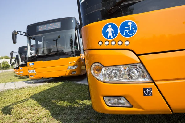 Transportu publicznego osób niepełnosprawnych fizycznie nowe autobusy — Zdjęcie stockowe