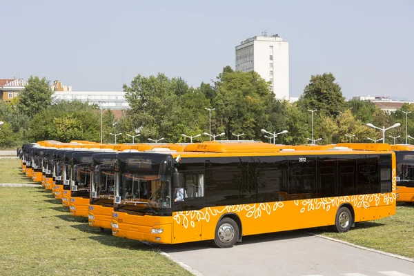 Transporte público frente de ônibus novos — Fotografia de Stock