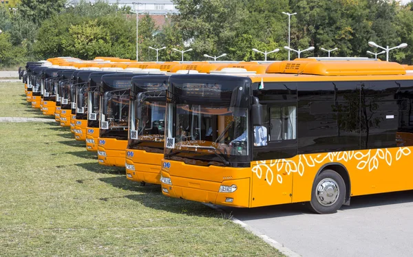 Nowe przednie autobusy transportu publicznego — Zdjęcie stockowe
