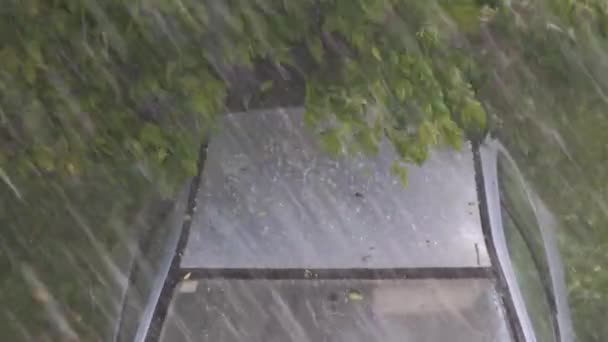 우박이라고 뭉치들 폭풍우가 몰아칠 자동차 지붕에 떨어진다 — 비디오