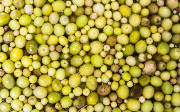 Aceitunas verdes — Foto de Stock