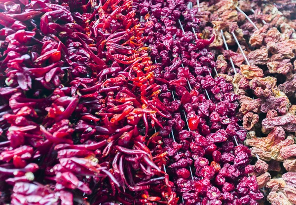 Pimentos vermelhos secos — Fotografia de Stock