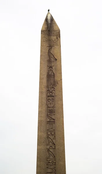 Ókori egyiptomi obeliszk Isztambulban, ő készíti — Stock Fotó