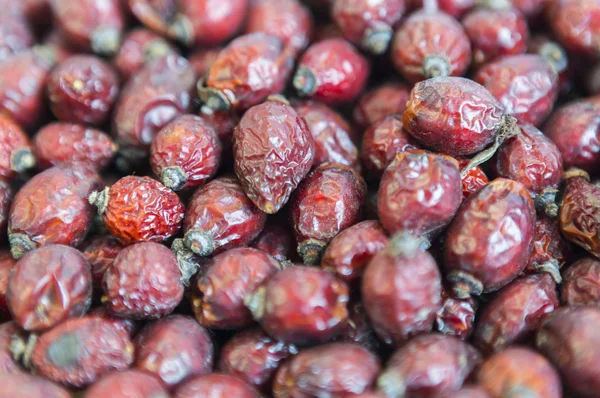 Cuisse de rose séchée — Photo