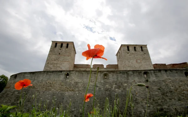 Baba Vida fortress — Stock Photo, Image