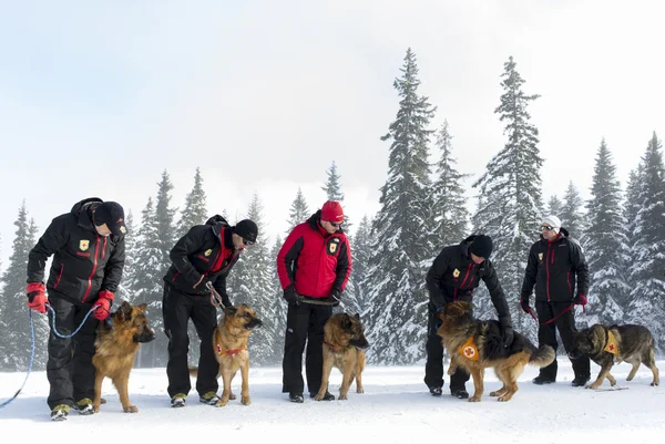 Mountain rescue service — Stockfoto