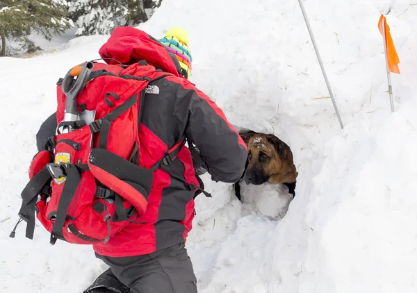 Servizio di soccorso in montagna — Foto Stock