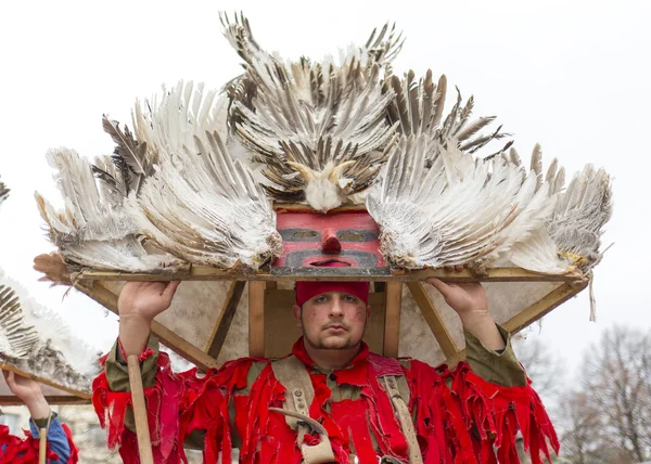 Traje de máscara de penas — Fotografia de Stock