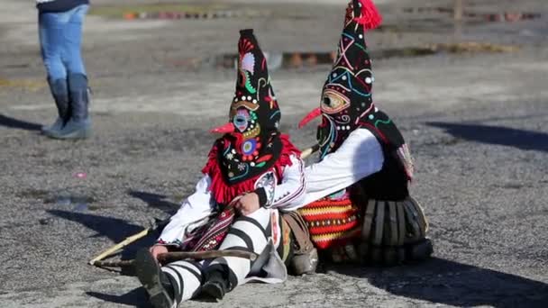 Surva maschera costume festival — Video Stock