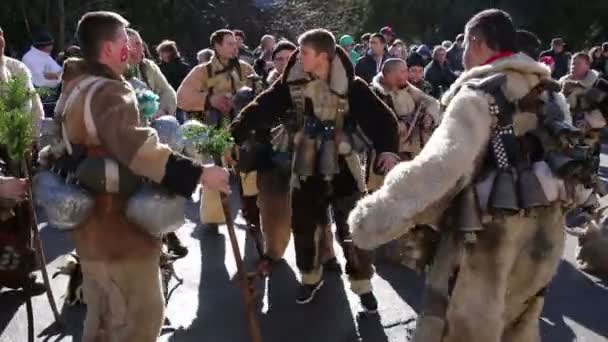 Surva máscara fantasia festival — Vídeo de Stock