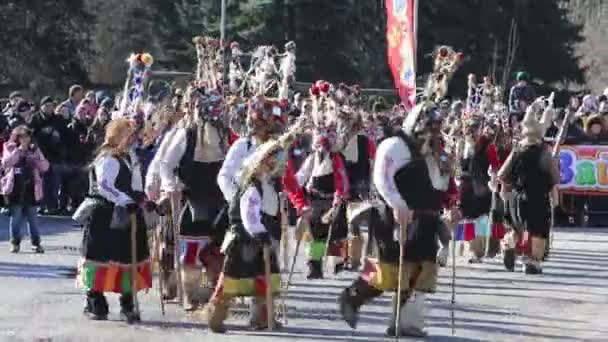 Surva mask kostym festival — Stockvideo