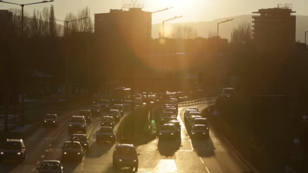 Traffic jam cars street silhouette — Stock Video