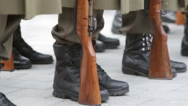 Bulgarian troopers in formation — Stock Video