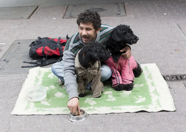 Mendigo com cães no chão — Fotografia de Stock