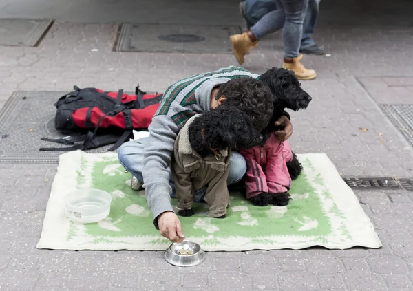 Beggar with dogs on the ground — Stock Photo, Image