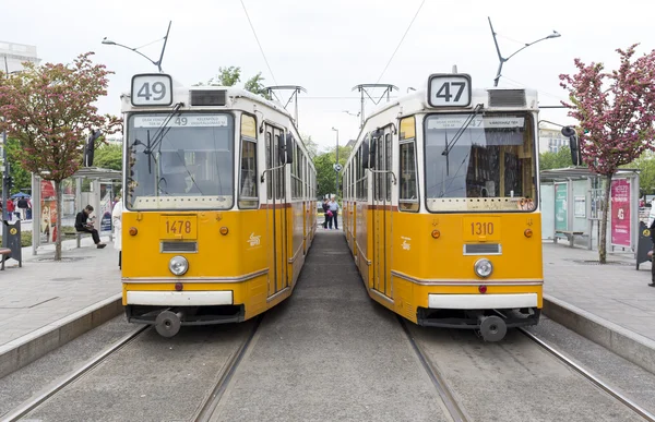 Budapest trams — Stockfoto