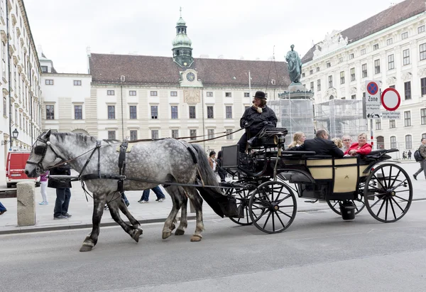 Paard getrokken vervoer Michaelerplatz — Stockfoto