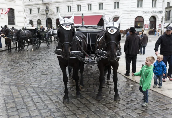 Carruaje tirado por caballos Michaelerplatz — Foto de Stock