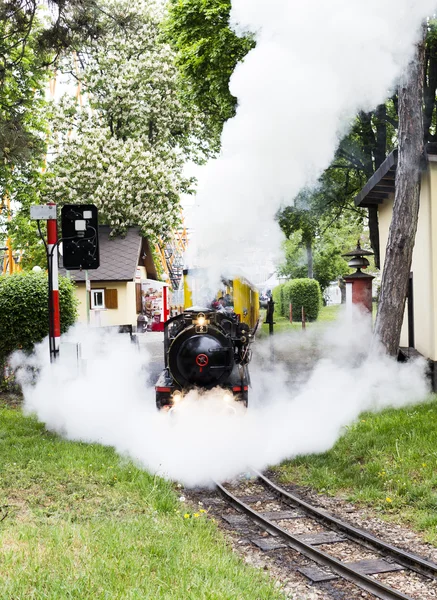 Parco Prater di Liliputbahn Vienna — Foto Stock