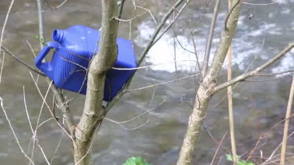 Botella de plástico ramas de basura árbol — Vídeos de Stock