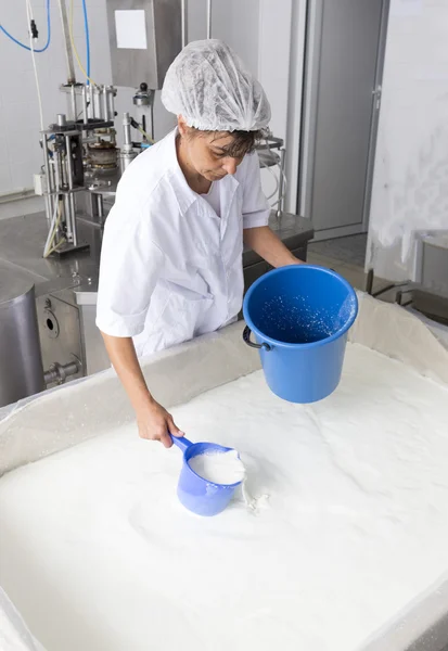 Käseproduktion Milchviehbetrieb Arbeiter — Stockfoto