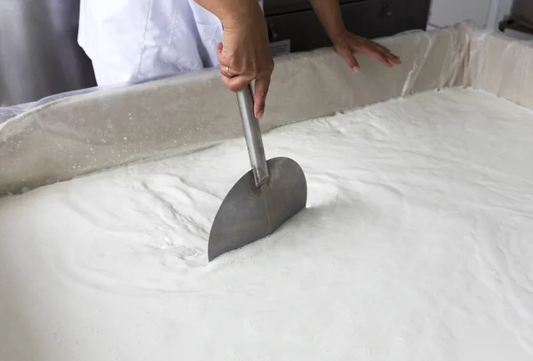 Cheese production creamery dairy worker mixing — Φωτογραφία Αρχείου