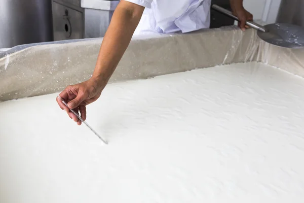 Produzione casearia creamery caseificio temperatura del lavoratore — Foto Stock