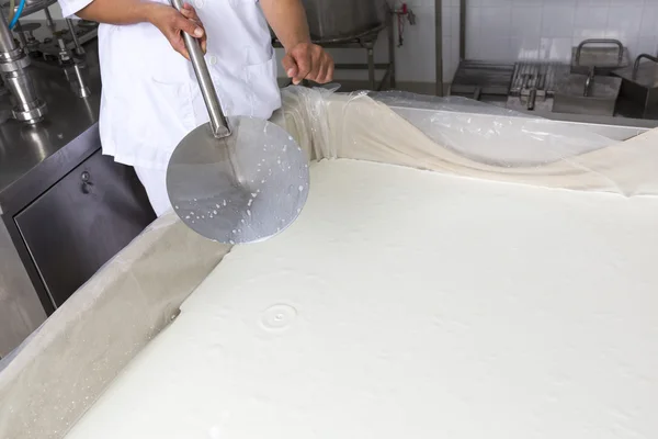 Produzione casearia Creamery caseificio coagulazione — Foto Stock