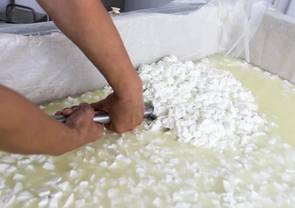 Cheese worker hands creamery dairy mixing — Stock Photo, Image