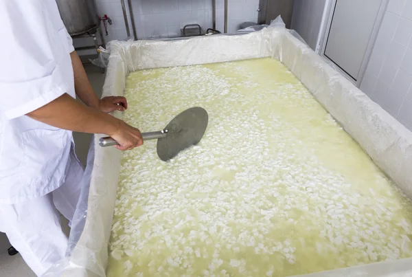 Cheese worker hands creamery dairy mixing — Stock Photo, Image