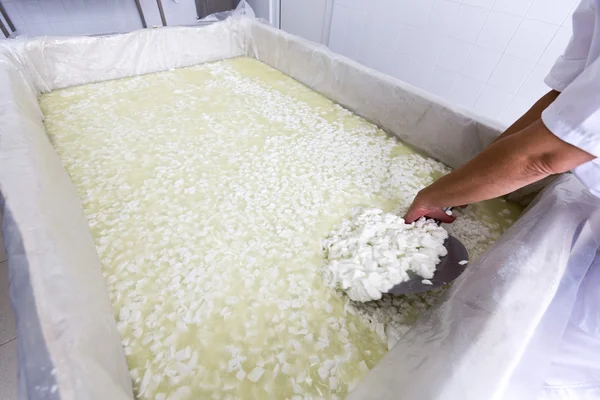 Cheese worker hands creamery dairy mixing — Stock Photo, Image