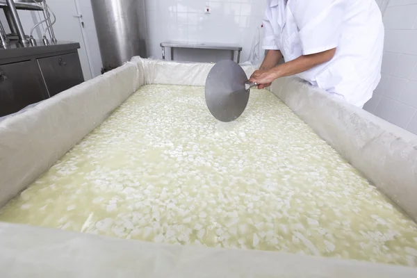 Cheese worker over tank in a diary creamery — Stock Photo, Image