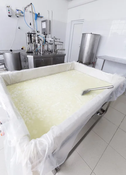 Dairy tank with buffalo cheese — Stock Photo, Image