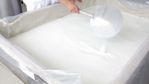 Milchviehbetrieb Milchkäse Charge — Stockvideo
