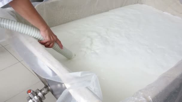 Kaas werknemer handen creamery zuivel melk pour — Stockvideo