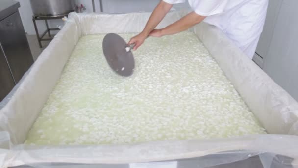 Cheese worker hands creamery dairy mixing — Stock Video