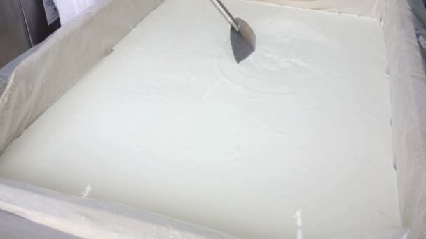 Lote de queso cremoso granja lechera — Vídeos de Stock