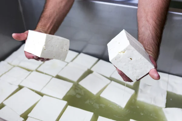 Greek white feta cheese cubes — Stock fotografie