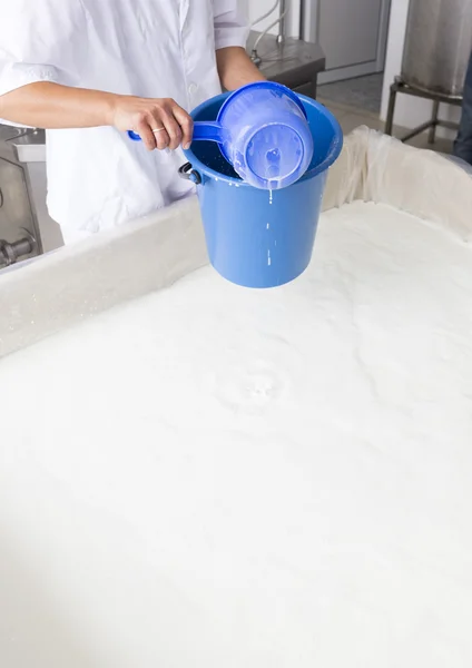 Producción de queso trabajador lechero cremoso — Foto de Stock
