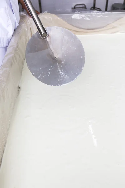 Cheese production creamery dairy worker coagulation — Stock Photo, Image