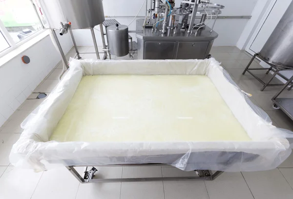 Buffalo cheese production creamery dairy tank — Stockfoto